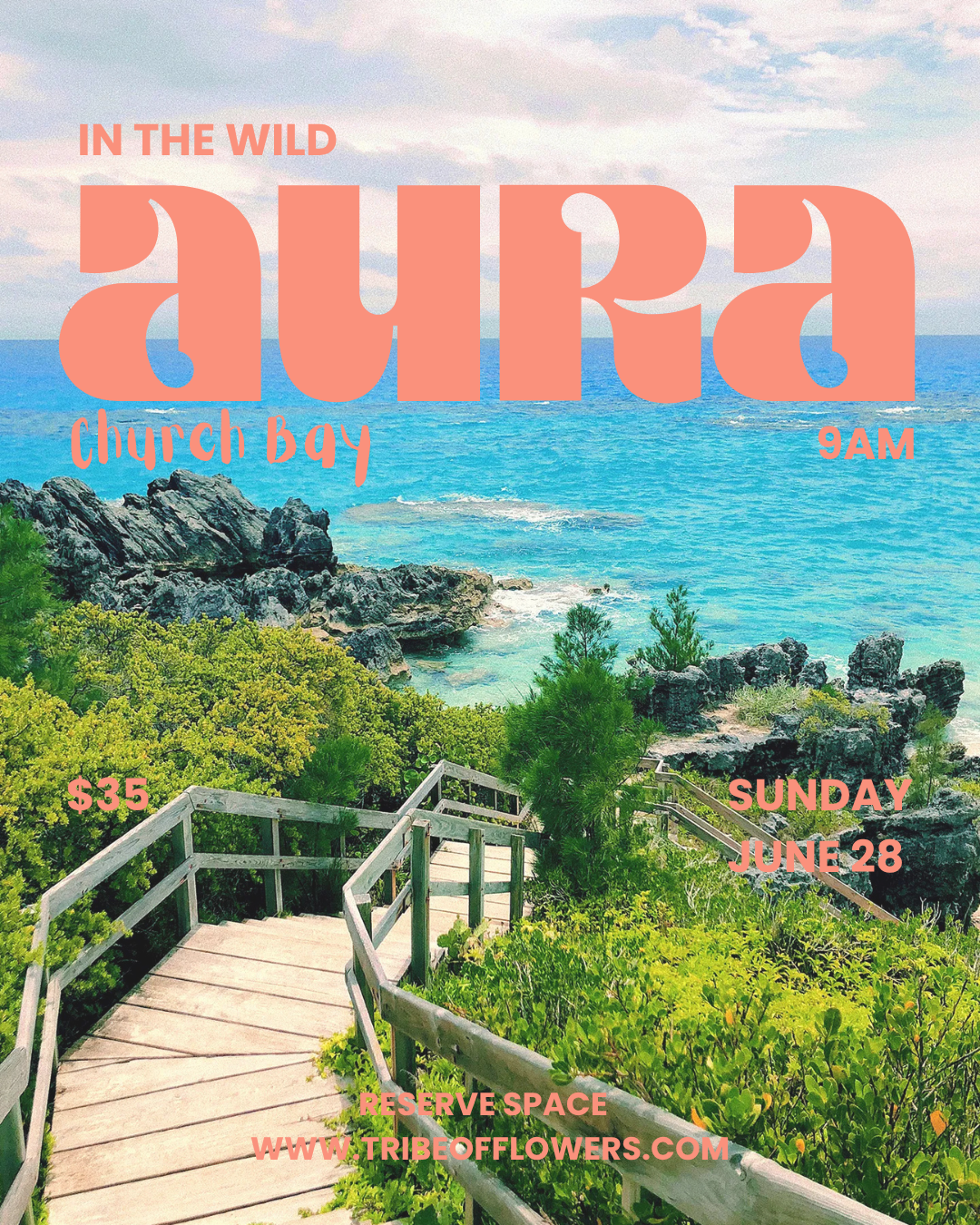 Aura in the Wild - Church Bay