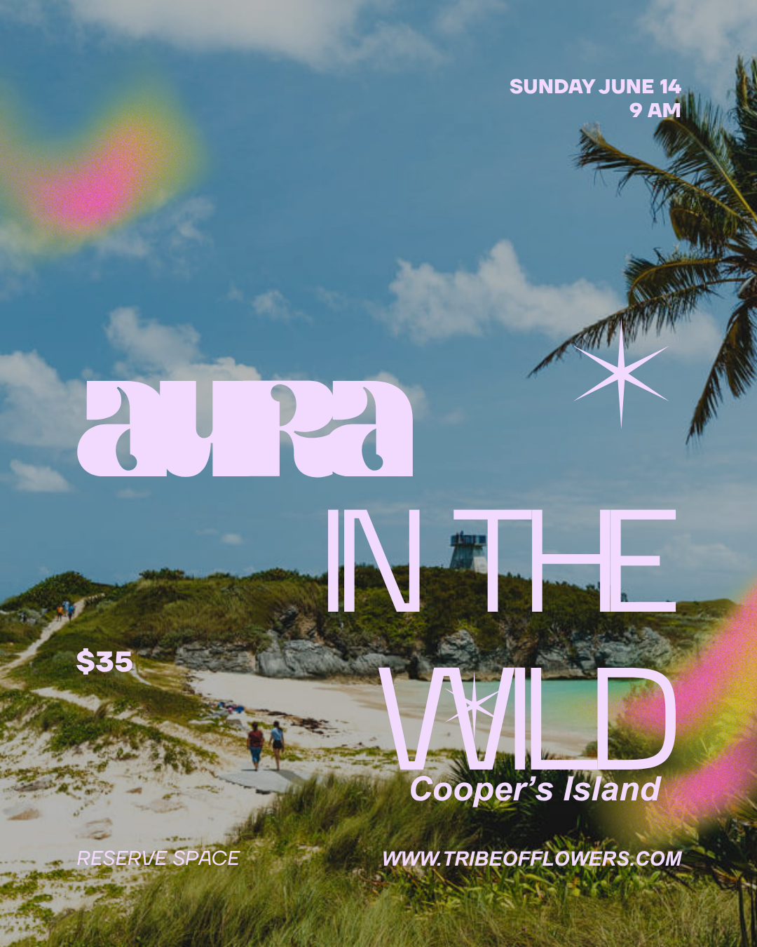 Aura in the Wild - Cooper's Island