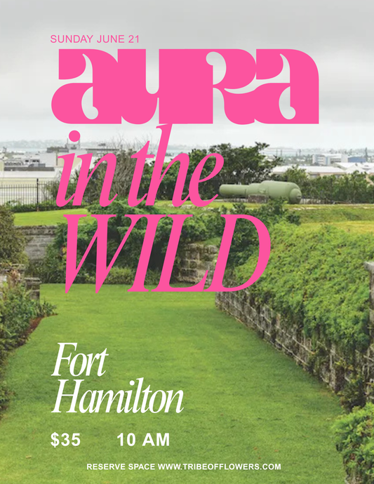 Aura in the Wild - Fort Hamilton