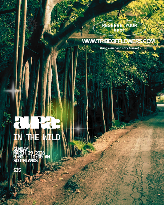 Aura: In the Wild - Southlands