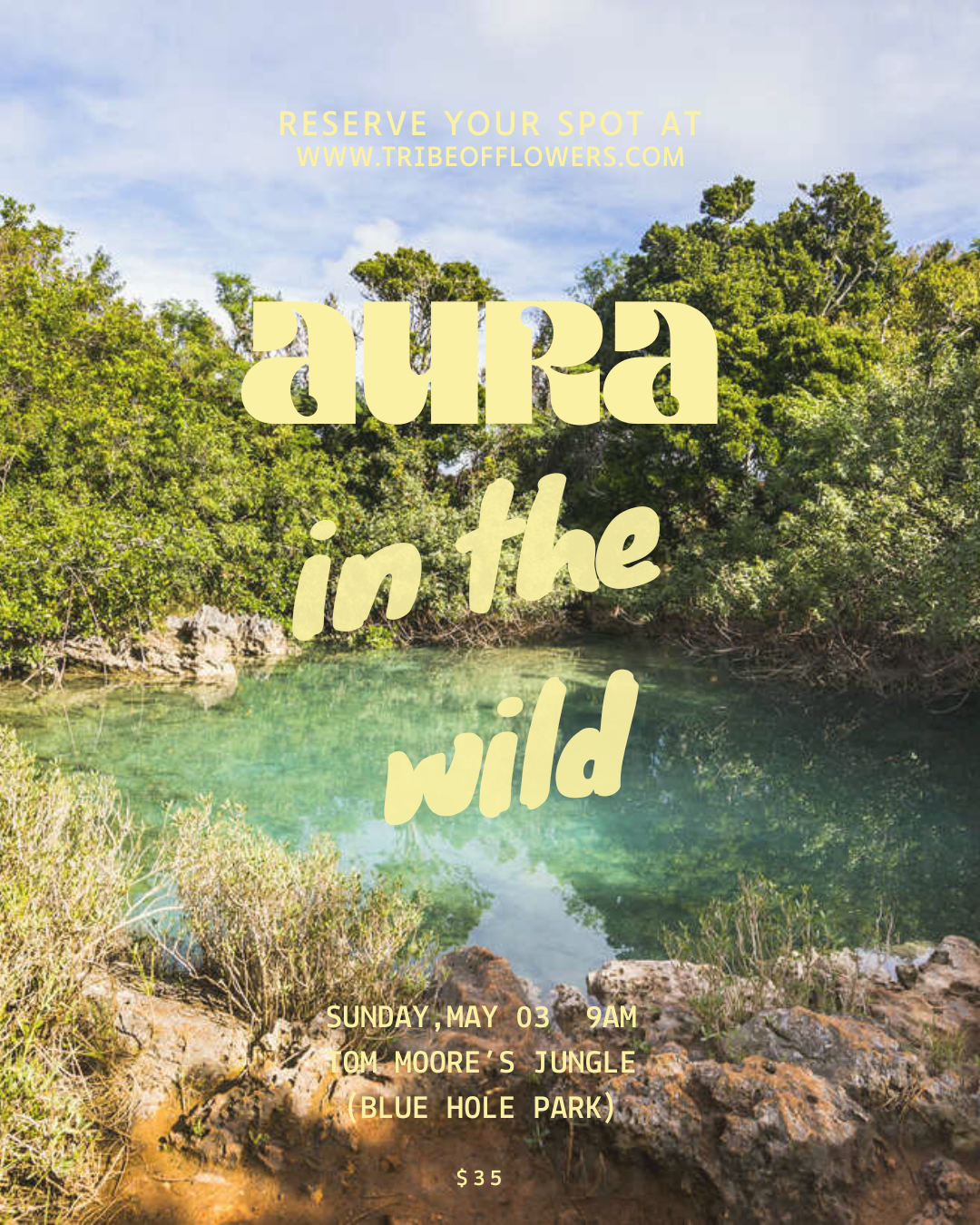 Aura: In the Wild - Blue Hole Park