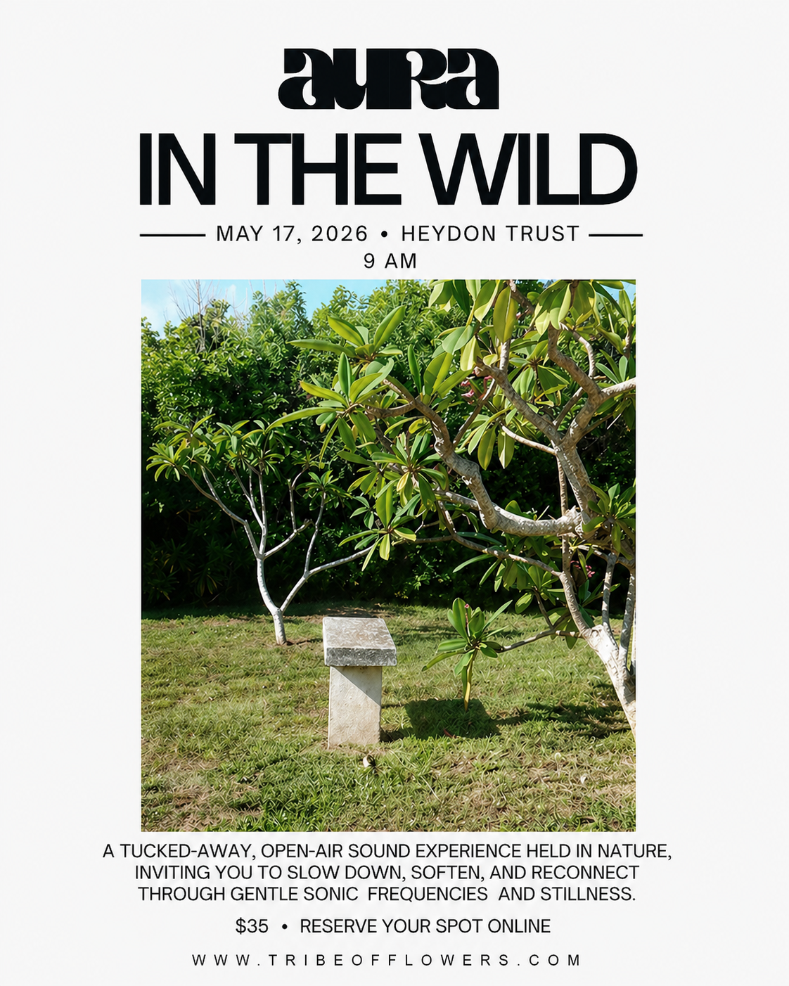 Aura: In the Wild - Heydon Trust